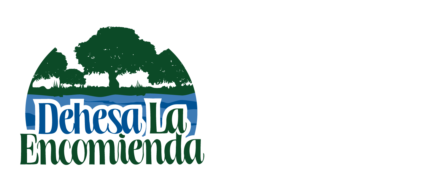 La Encomienda